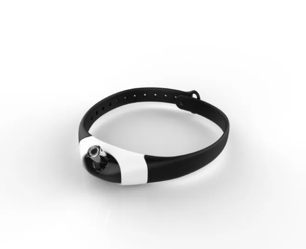 Hands-Free Laser Toy Collar