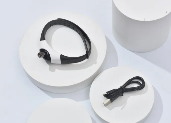 Hands-Free Laser Toy Collar