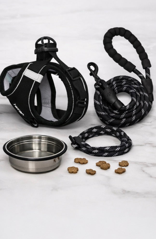 Cat Harness and Leash Escape Proof Set